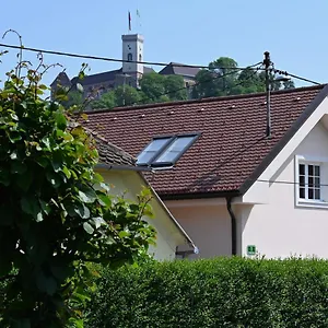 Krakovska Ljubljana